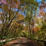 Minuteman Bikeway, Bedford, MA 10/19/23 ‣ I Have An Idea