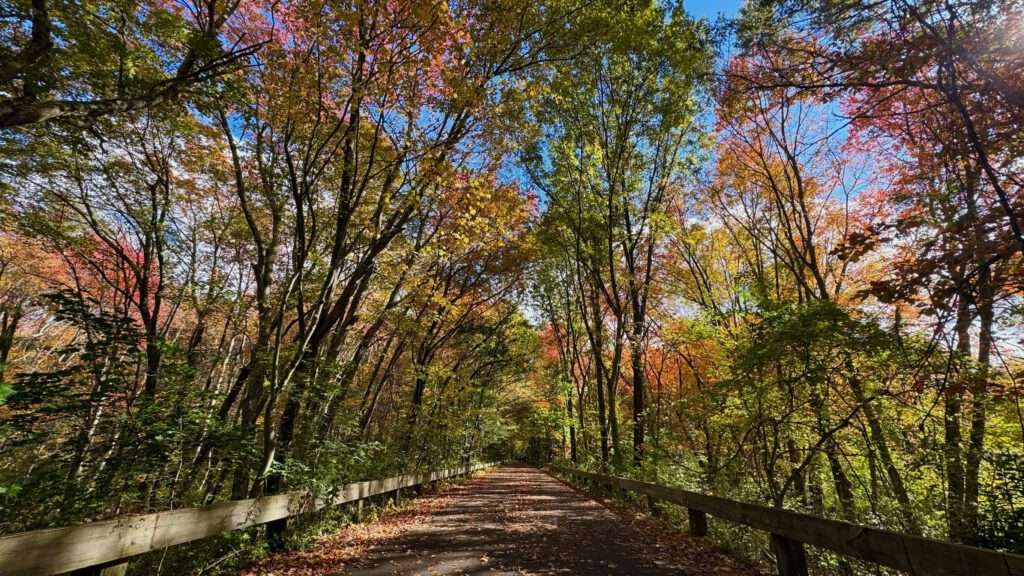 Minuteman Bikeway, Bedford, MA 10/19/23 ‣ I Have An Idea