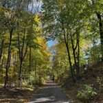 Minuteman Bikeway, Arlington ‣ I Have An Idea