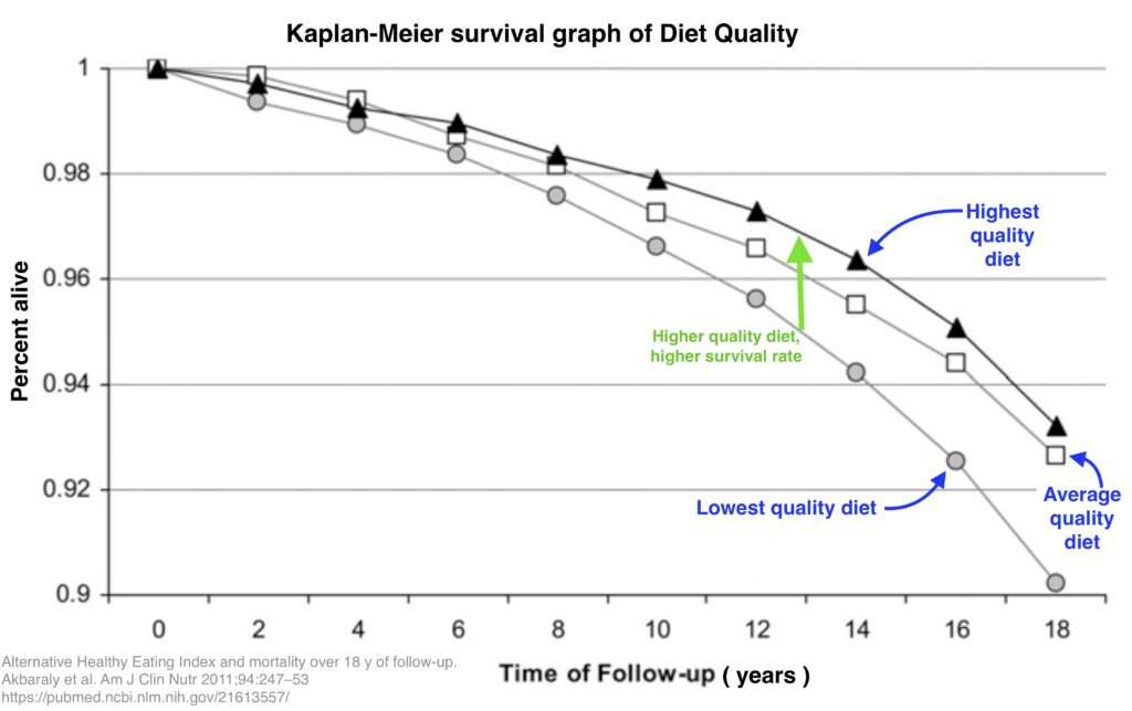 Diet quality Kaplan-Meier survival graph3 ‣ I Have An Idea